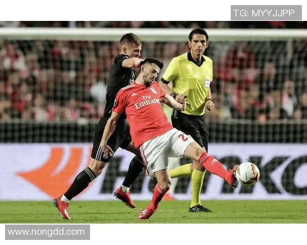 本菲卡对阵萨格勒布迪纳摩比赛前瞻及比分预测分析