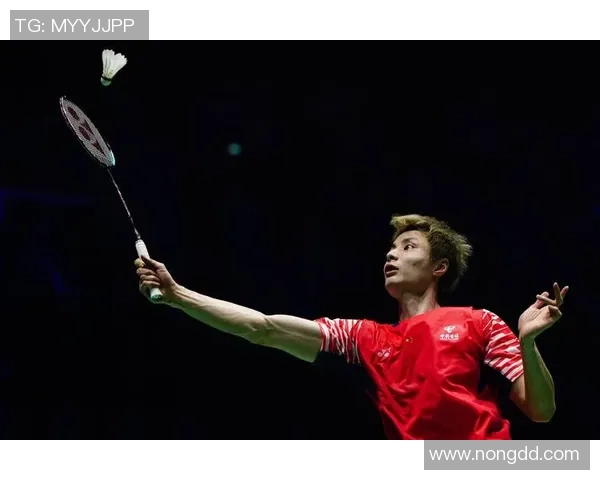 深入分析北京羽毛球队的整体压制战术及其对比赛的影响与应用