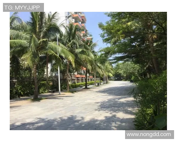 深圳飞盘队技术表现分析与提升策略探讨