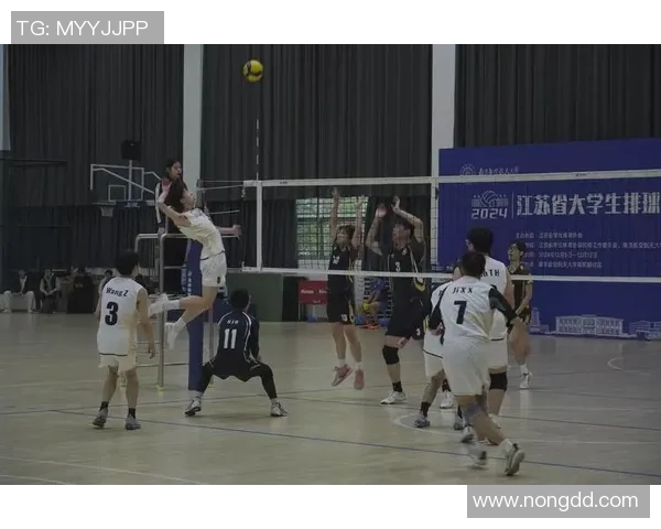 西安排球队的拼搏之路:一段不屈不挠的排球奋斗历程